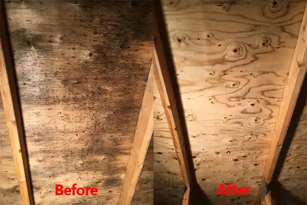water damage restoration service Patterson Springs